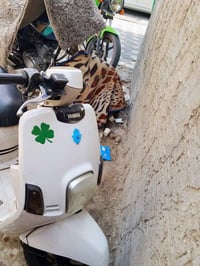 بوليسي • قفل