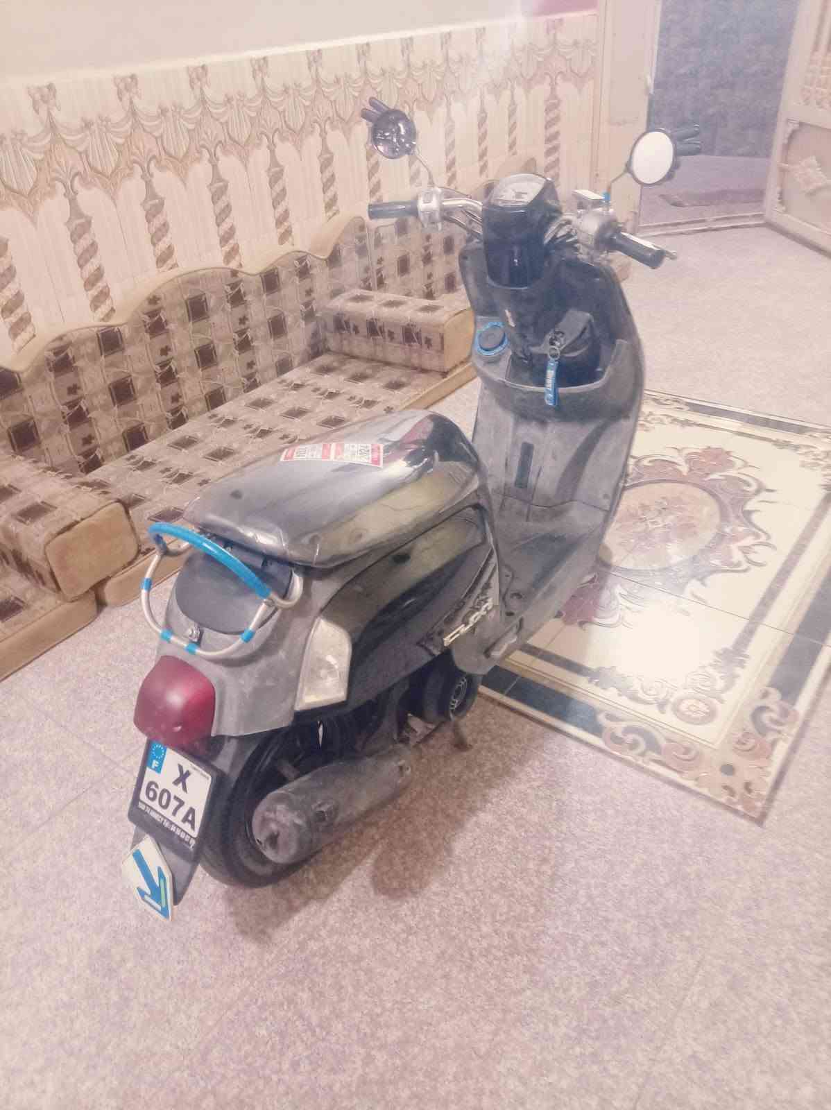 بوليسي بلاديه • معدل ١٠٠ • مكينه ناعمه