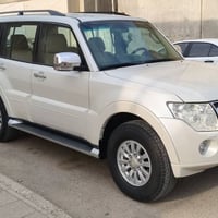 باجيرو • ٢٠١٠ • بدون صبغ