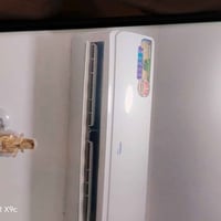 سبلت • جنرال • قليل الاستخدام