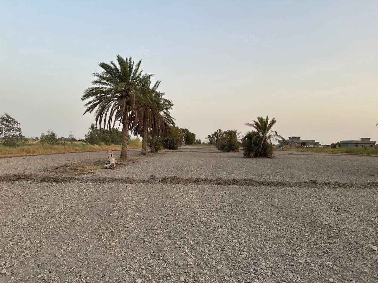🌴 للبيع أرض مميزة 🌴
إخوان، للبيع 5 دوانم ونص بسمي، سند 25 طابو الفلوجة، منطقة شيخ عامر – سبع البور.

✅ الأرض بيها نخل حم​ال وأنواع مختلفة .
✅ ماء سقي وماء إسالة الكرخ متوفر.
✅ كهرباء موجودة.
✅ ثاني قطعة من الشارع.
✅ قريبة على جامع الإمام الحسن.
✅ تبعد عن الكاظمية تقريباً ربع ساعة.

الأرض مخدومة وجاهزة للزراعة، وتصلح همين للاستثمار وسوي بيها مزرعة أو شاليهات، خصوصاً والمنطقة كلها مزارع وشاليهات.

🔹 البيع من دونم فما فوق.
🔹 الأرض ملك سند ٢٥ طابو الفلوجة وباسمي مباشرة.
*********** ***********
