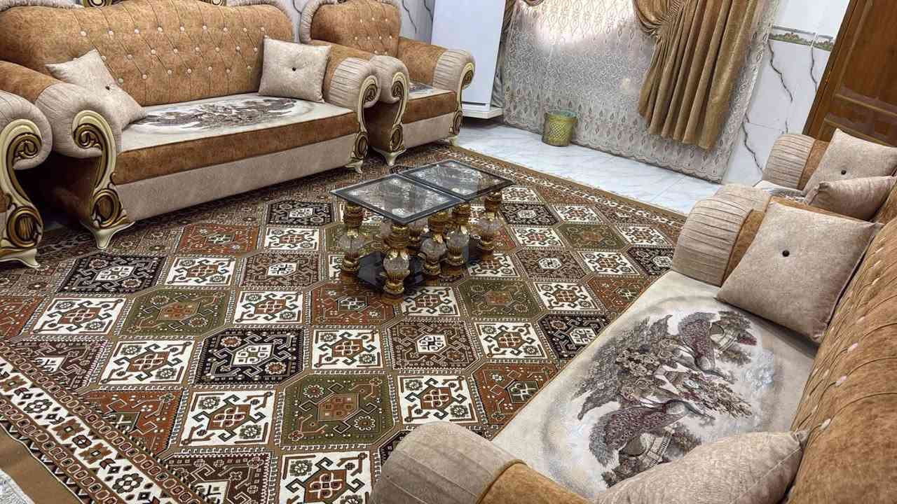 تخم قنفات للبيع مكلف بالنشر
***********
