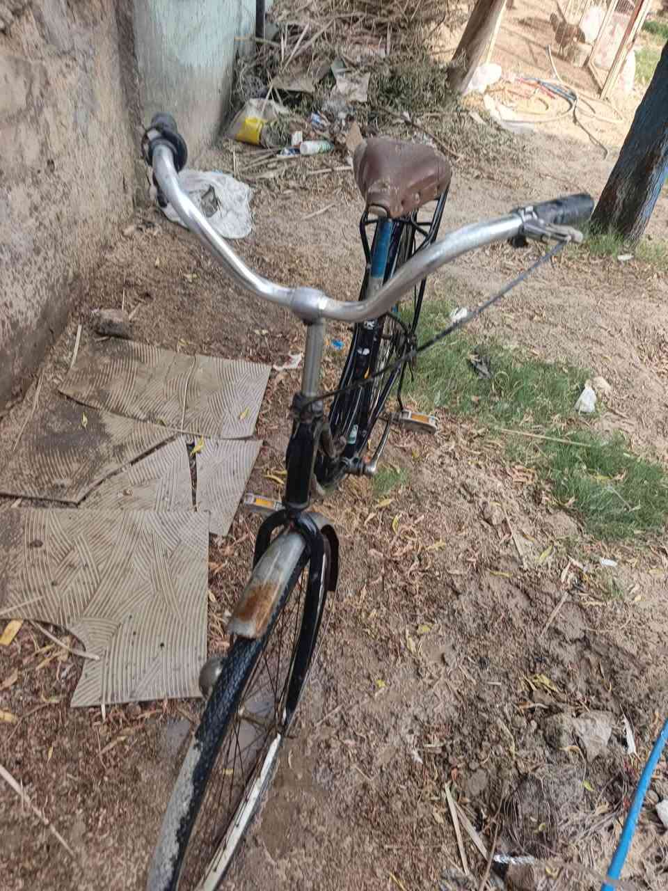 بابل المركز • بسكليت
