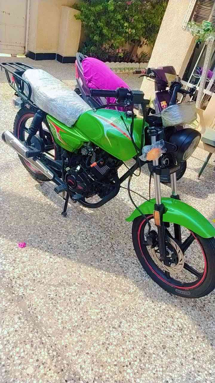 شاينك • ٢٠٢٥ • كفاله