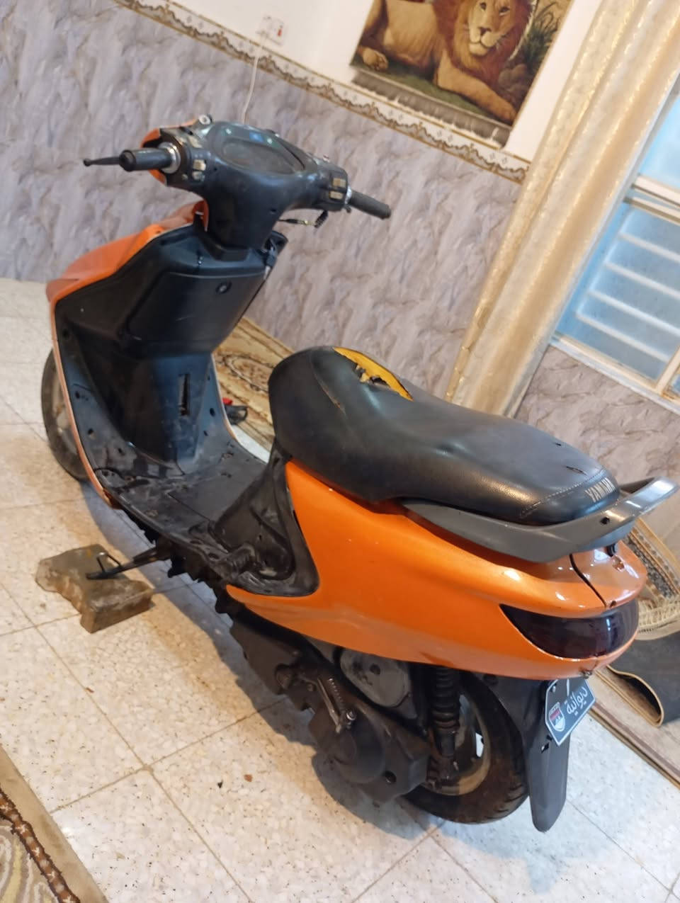 فراشه • فحل • كلجات جدد