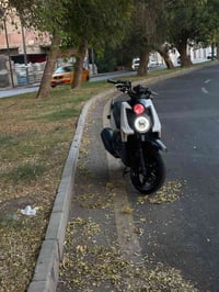سكنس جبلي البيع مكفوله العنوان بغداد الدوره ٠٧٧١٣٤١٧٤٤٠