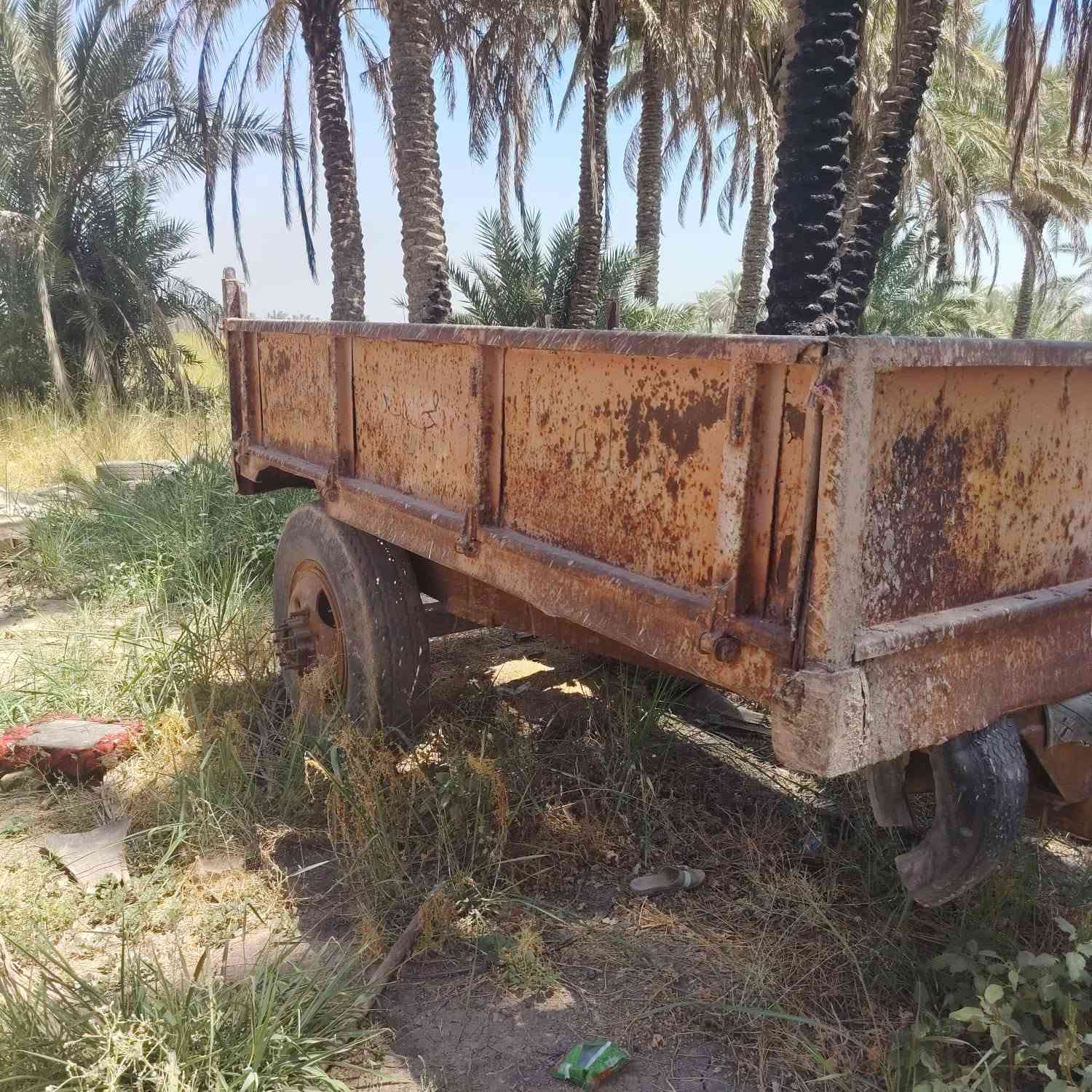 للبيع مكان حله سده الهندية المهناوية الاتصال واتساب ***********
