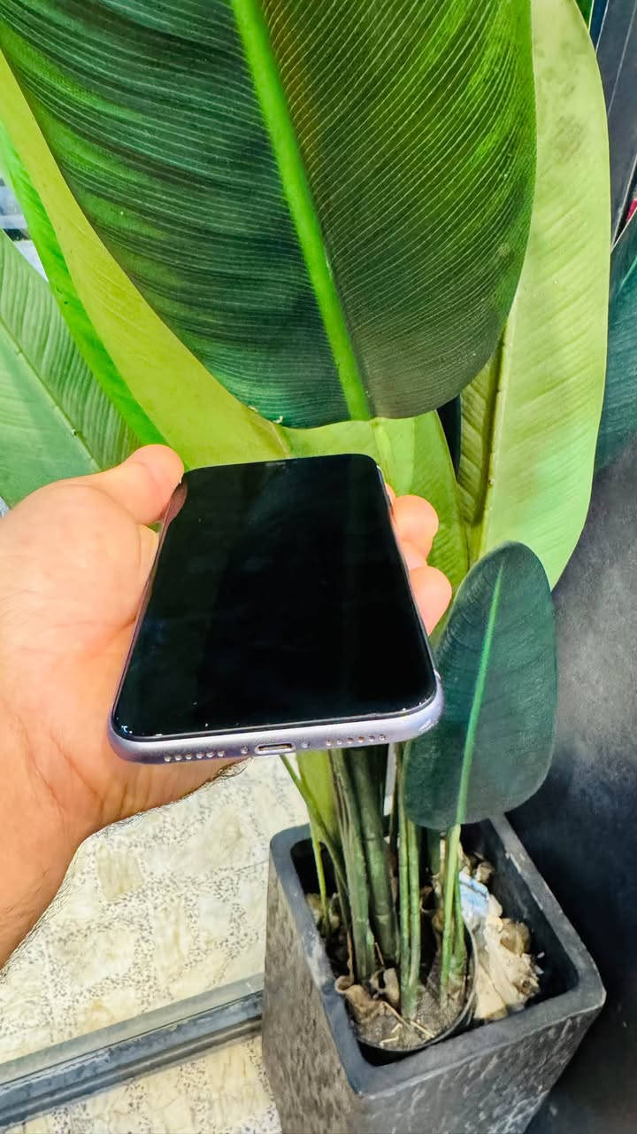 آيفون ١١ • ١٢٨ • بطارية ١٠٠٪