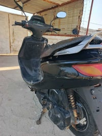 فراشة • ١٤٠ • بابل