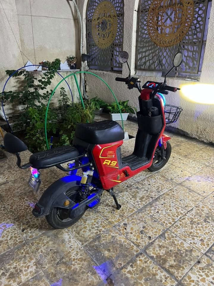 دراجة شحن R9 شركه وينلي

المواصفات 🔌:

الملف : 1500 نحاس 

بريكات أمامي خلفي دسك 

الدبل الأمامي دهن والخلفي غاز 

الإطارات جوبلس 

اللايت : زينون وليد

الشاشه : ديجتال 
 4 سرع 

الملحقات 🎗️:

دبل مفتاح

كارت شاشه 
 سويچ 

سله

منفذ شحن

ستاند للموبايل 

السعر 600 الف 
 للتواصل : ***********
