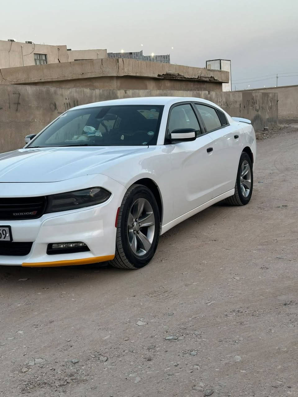 تشارجر SXT • ٢٠١٩ • ابيض اربيل