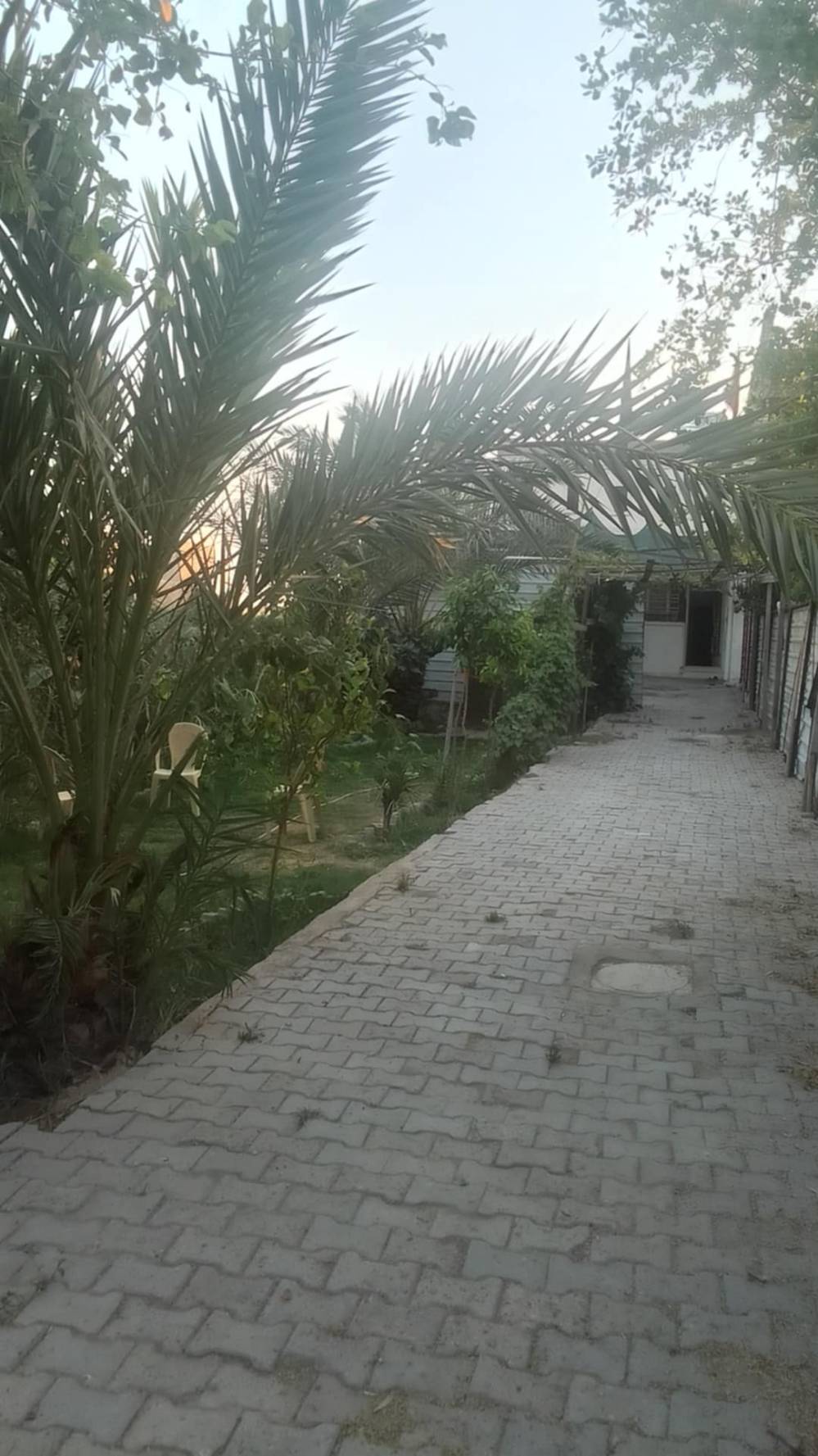 الزعفرانيه حي الامانه • ١٥٠م • ٢ غرف