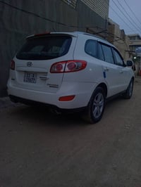 سنتافيا • ٢٠١١ • رقم بغداد