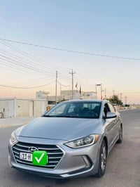 النترا • ٢٠١٧ • وارد أمريكي