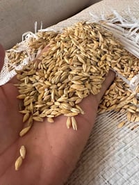 بذور • علف • سماد