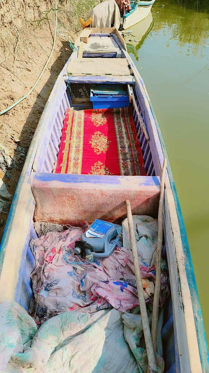 جينكوه • يحتاج صبغ • الطول ١٤
