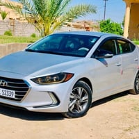 النترا • ٢٠١٧ • رقم اربيل