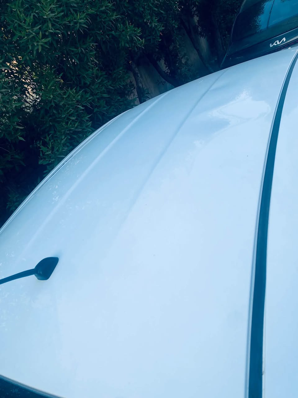 سلام عليكم نيسان سني هندي بليته الزركه موديل ٢٠١٩ بغداد تستلم ارقام انكليزي كير مكينه تبريد شواصي الغود كله مكفول ناشر السونر السعر ٩٧  مجال كلش بصيط  بيهه ملاحضات بصيطه ***********
