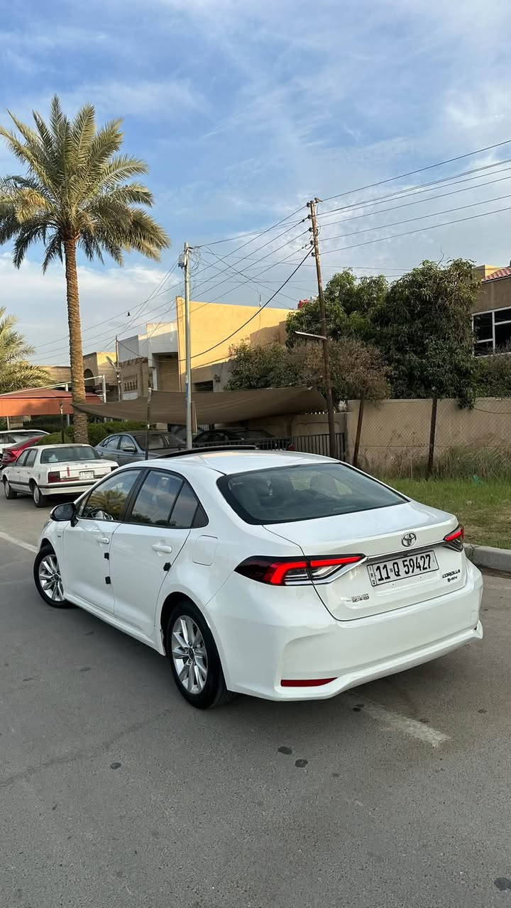 كورلا • ٢٠٢٥ • رقم بغداد