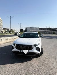توسان ٢٠٢٤ • نص فول • رقم كربلاء