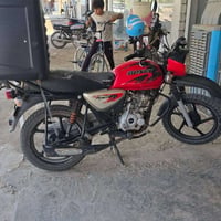 بوكسر • جبلي • ٢٠٢١