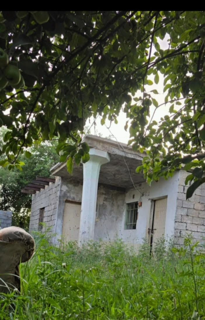 طابو زراعي • ٢دونم • بستان مثمر