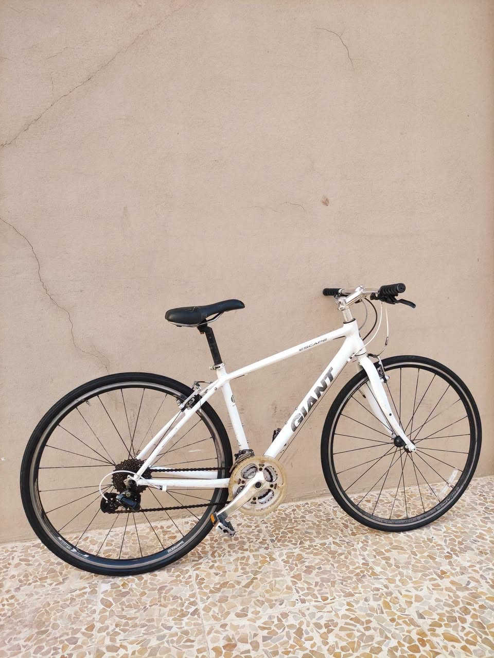 السلام عليكم
دراجه ماركة #GIANT_ESCAPE  جيانت اسكيپ العالميه ماركه 

غنيه عن التعريف صنع اصلي اورجنال MADE IN JAPAN🇯🇵

لون أبيض ثلجي لامع ميتاليك مع ختومات الشركة باللون الاسود

حجم 28 (C700) فوول ألمنيوم خفيف جدآ فول انسيابي وسرعة

لشه مضلع موديل حديث ...سستم شيمانو كامل سيت شيمانو 

آلتوس #SHIMANO_ALTUS ...بدالات السرعه 8X3 سحب دفع

#شاشه_حديث ....بريكات V_BRAKE بالمكان حتى الفحمات 

مختوم تيكترو TEKTRO ...وياله زووم طبقتين مختوم GIANT

مصصمة لتحمل الاوزان الثقيلة والطسات #DOUBLE_WALL

تايرات كتان اصليه  مختومه ختم الشركة #KENDA نقشه ناعمه

ستيرن نفخ حديث ستانس...كمبليونات سلايت وياله وسرج 

🔴الدراجة عليها تغليف كامل ppf ومفطر موضحه بلفيديو تكدر
     تعوفه وتكدر تشلعه اني شلعت منه شويه وموضحه بلڤيديو
    مأشر بأيدي وبيها شخوط مال نقل 

🔴الدراجة قطعه مال حاوية غير مستخدمه داخل العراق
     مامبدل بيها برغي على وضع الشركه بلاد ..ختم واحد
     ليبل واحد بدون اي نقص كامله وجاهزه 100٪ 

المكان موصل الجانب الايسر....السعر 140 (ثابت_نهايتة)

يوجد توصيل بغداد وجميع المحافضات العراقية 

رقمي ***********
