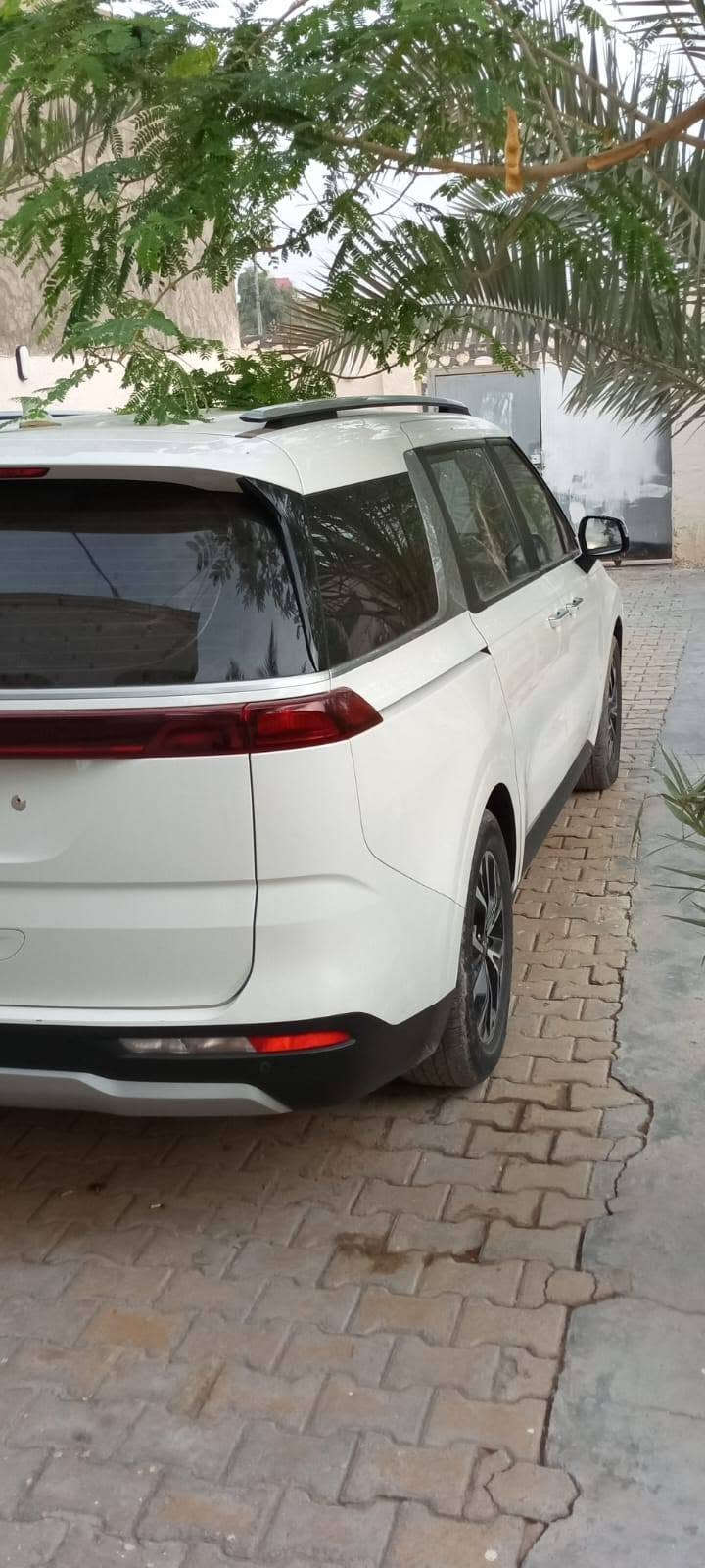 كرنفال 3.5V6 • ٢٠٢٣ • رقم بغداد
