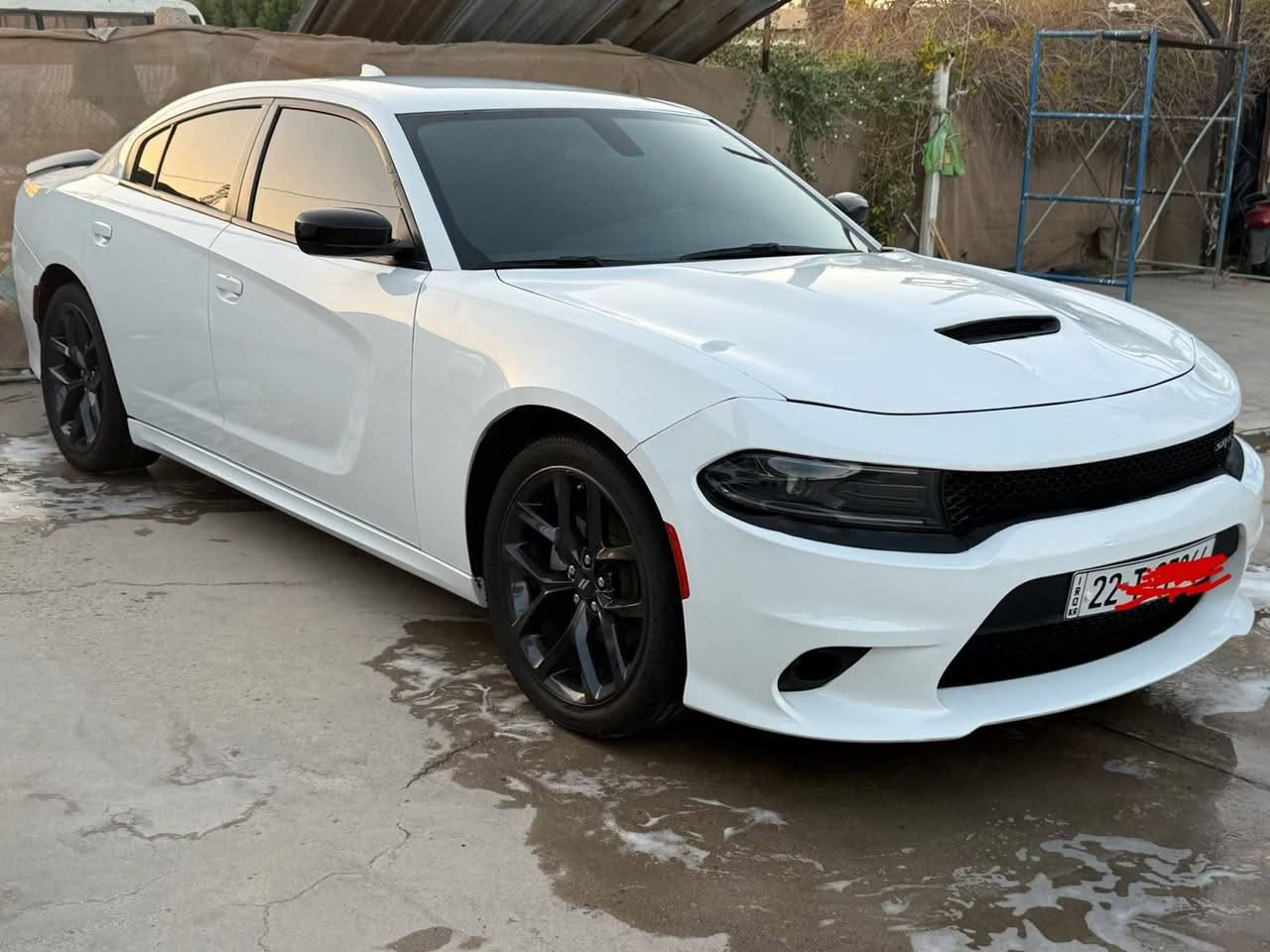 تشارجر SXT • ٢٠٢٣ • رقم اربيل