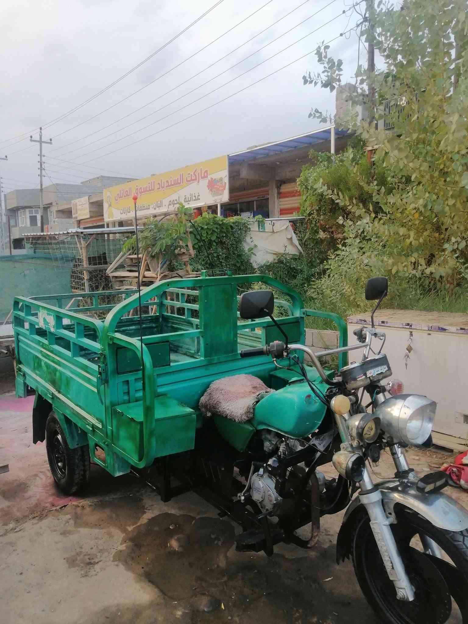 موديل ١٩ • فحل عالي • ديالى بعقوبه