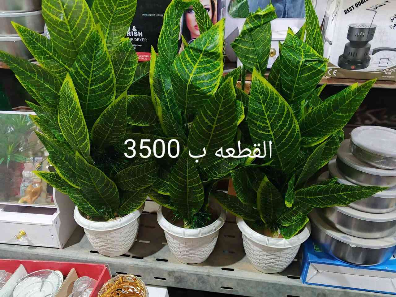 ورق تغليف • قياس ٥٠×٤٠ • توصيل