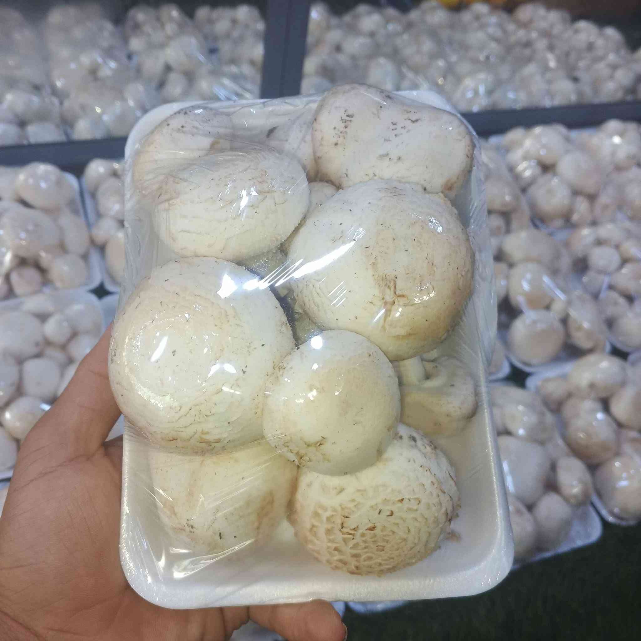 فطر هيتاوي • علوة حي المعلمين • توصيل هيت