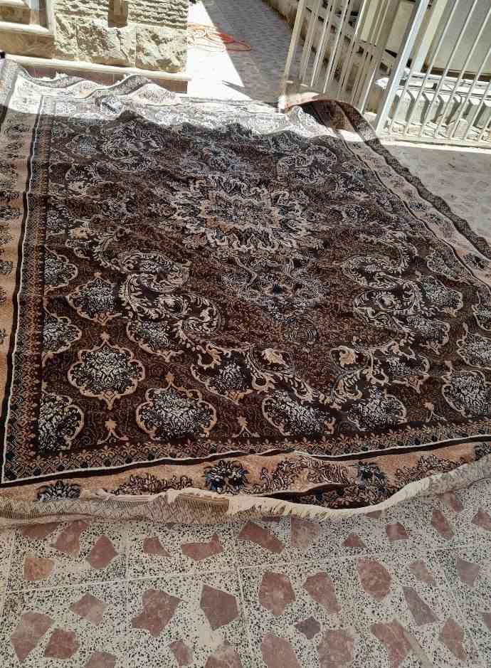زوليه اسود ابيض • ٣ف٧ • زوليه جوزيه ٣ف٤