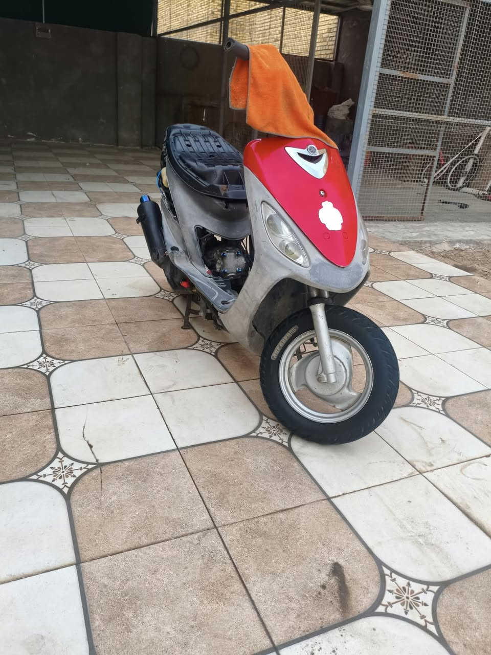 ماكس منغول • بوشه ٥٥ • سلف