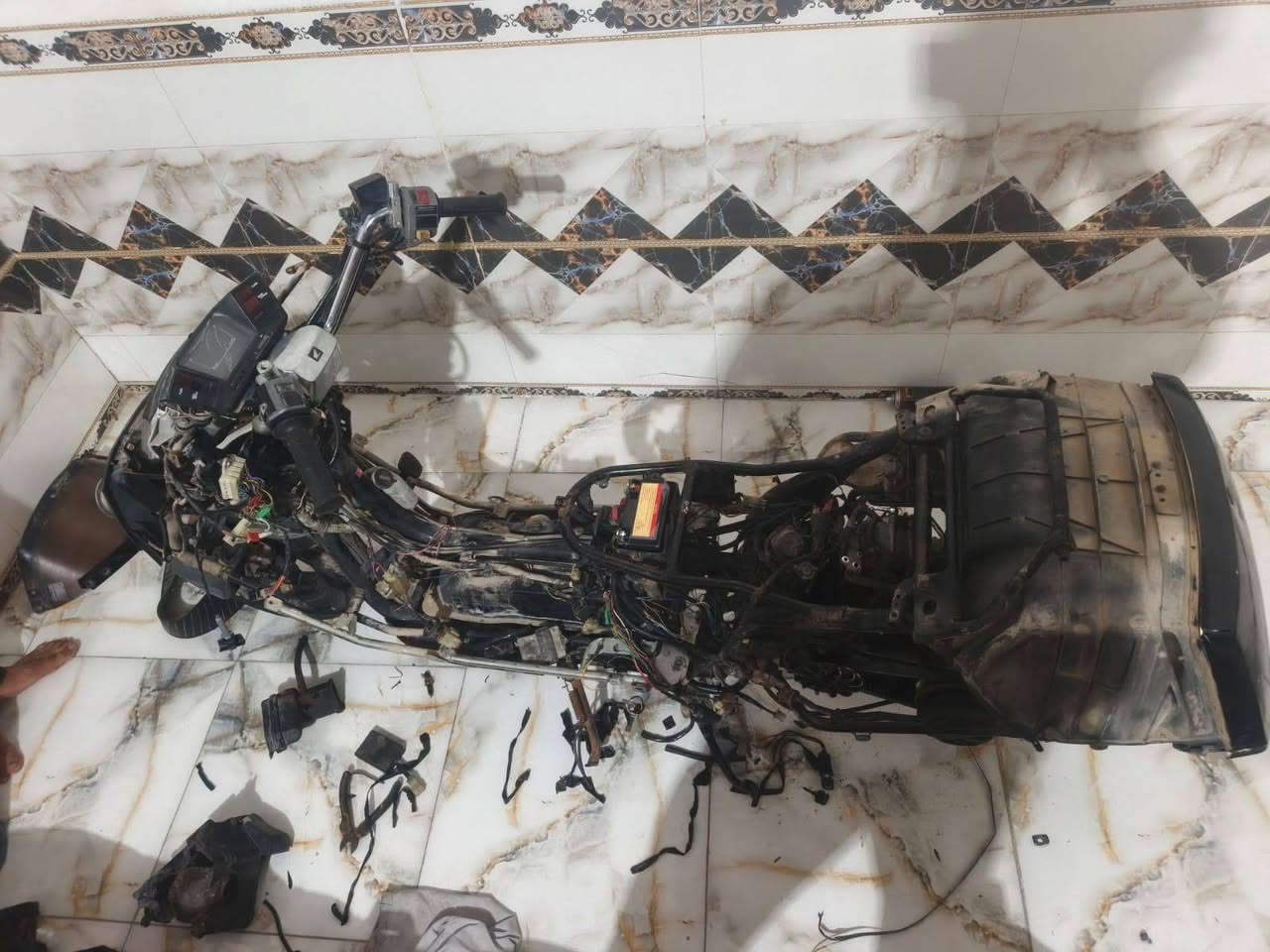 سلام عليكم غراض فيوجن شتريد موجود كفرات كله جديد وكامل ترايش كله جديد وكامل مابيها نقص حبايه شتريد موجود بك لايت كامل كلوبات لايت زنون دشبول كله كله شتريد موجود وخابرني وتدلل 🤍***********

