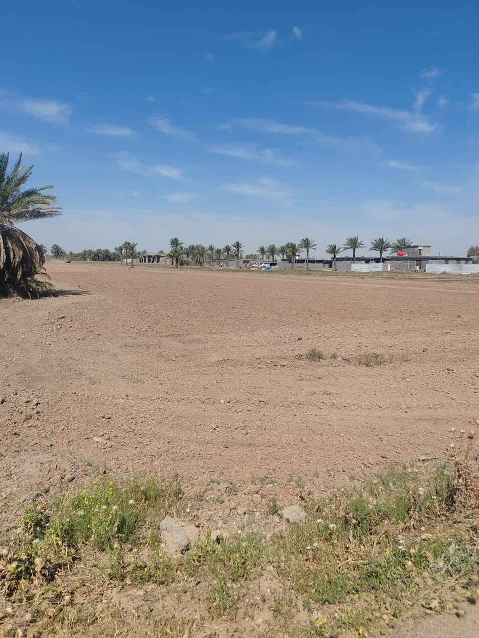 ***********
ارض زراعيه المساحه 6دونم عقد 117 مستطيله واجهة 50 نزال 300 تبليط من امامها وخلفها متوفر ماء وكهرباء قرب مدارس  سيد الشهداء   التاجي قريه عواد الحسين  نهر صافي سعر الدونم 15  للاستفسار ***********

