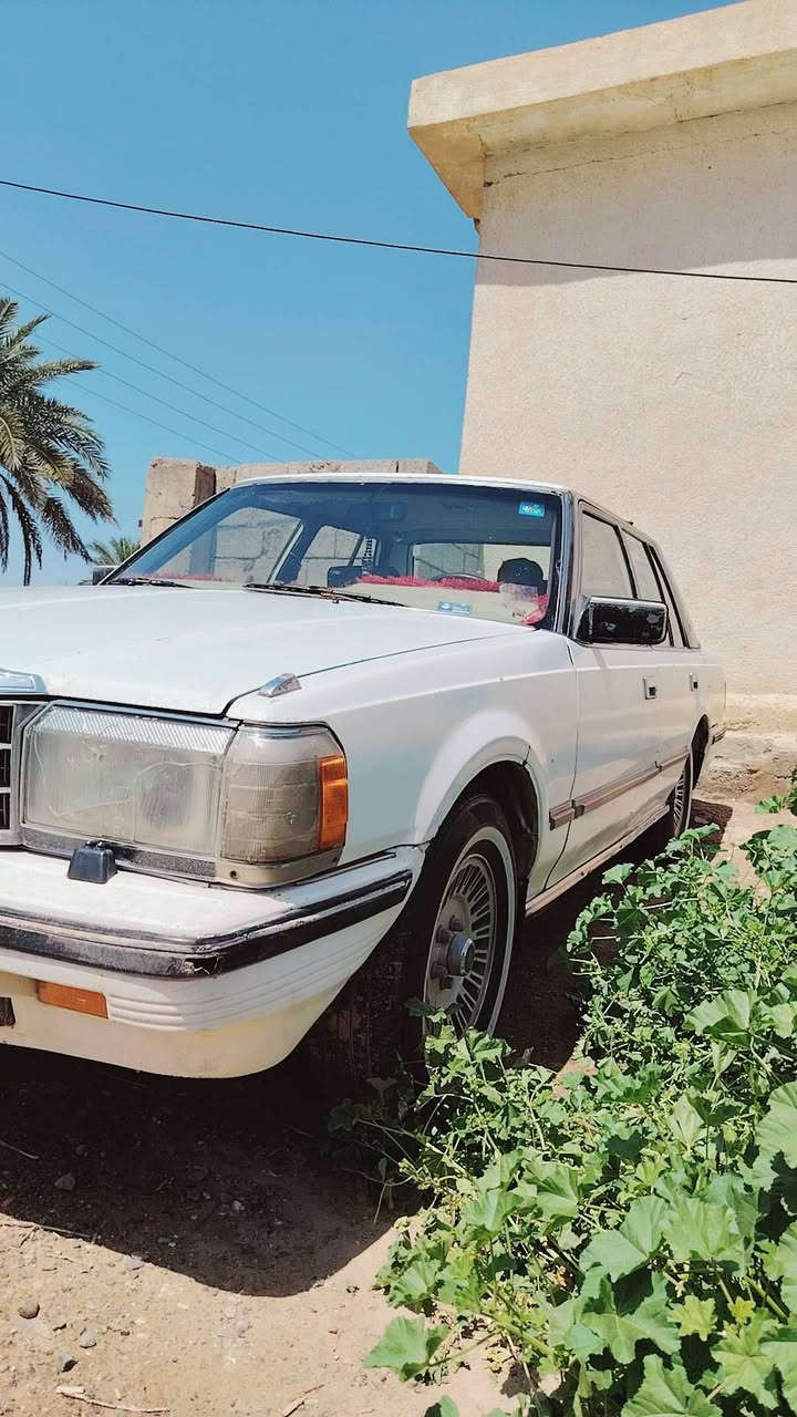 سوبر 87 رقم صلاح الدين باسمي رقم جديد دولي كير شرط محرك اوتو شرط الشلعه تبريدها شغال ثلج القمارة مبيها قطرة صبغ تخم تاير جديد باتري جديد محركها بطه Vv. T 2500 شرط التحويل والوكالة السعر 40 وبيها مجال للشراي مكاني تكريت للاستفسار ***********
