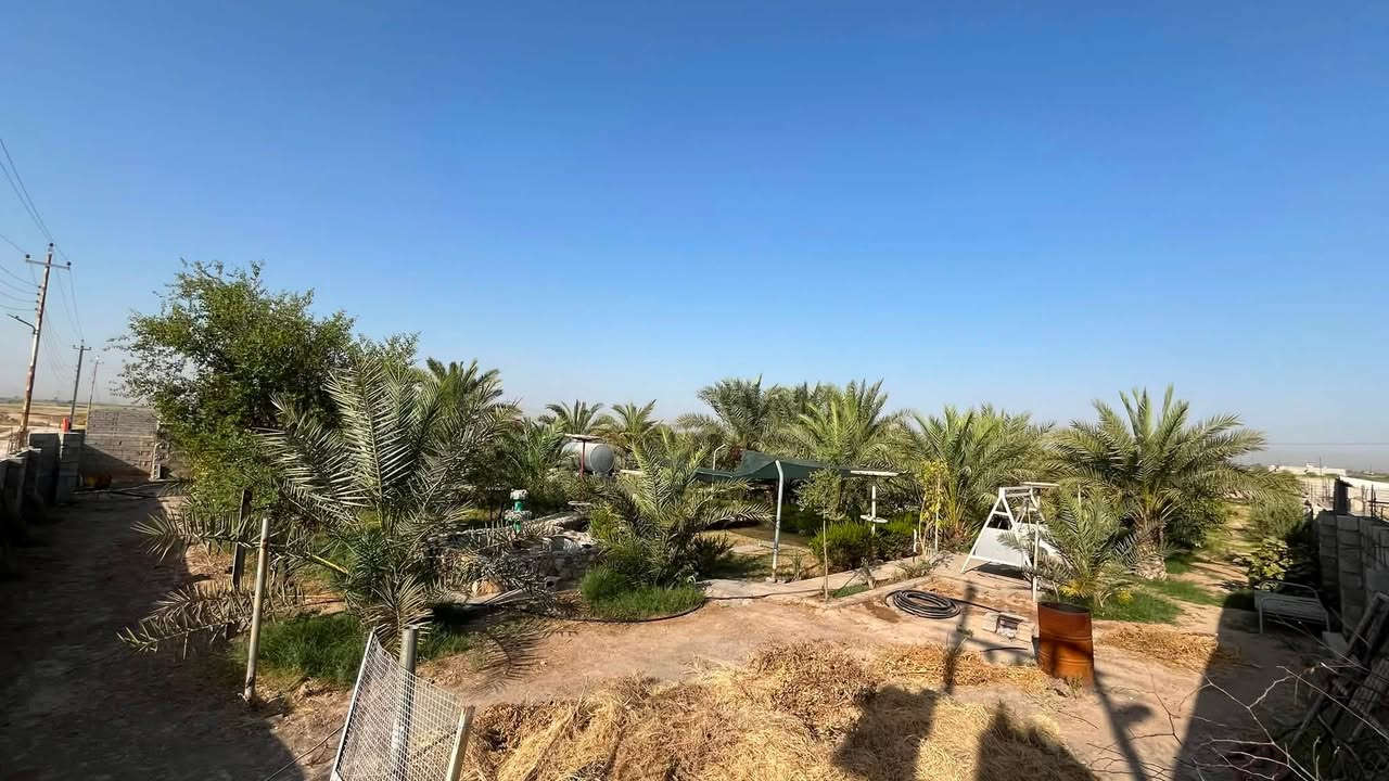 بستان للبـيــــــــــــع. 
بموقع متميز . مع كهرباء وماء 
مساحته : واحد دونم
وبنظام ري ( تقطير ) ممتاز جدا وعالي الكفاءة. 
فيه اكثر من 45 نخلة مختلفة الانواع واشجار مثمرة اخرى 
( تين وزيتون وسدر بانواعه والحمضيات بانواعها )
وحوض كبير مع خزان كبير للمياه. 
*وموقعه وصوره وتفاصيله موضحة مثل ما تشوفون بالبوست* 
__________________ 

هاتف / واتساب ***********
