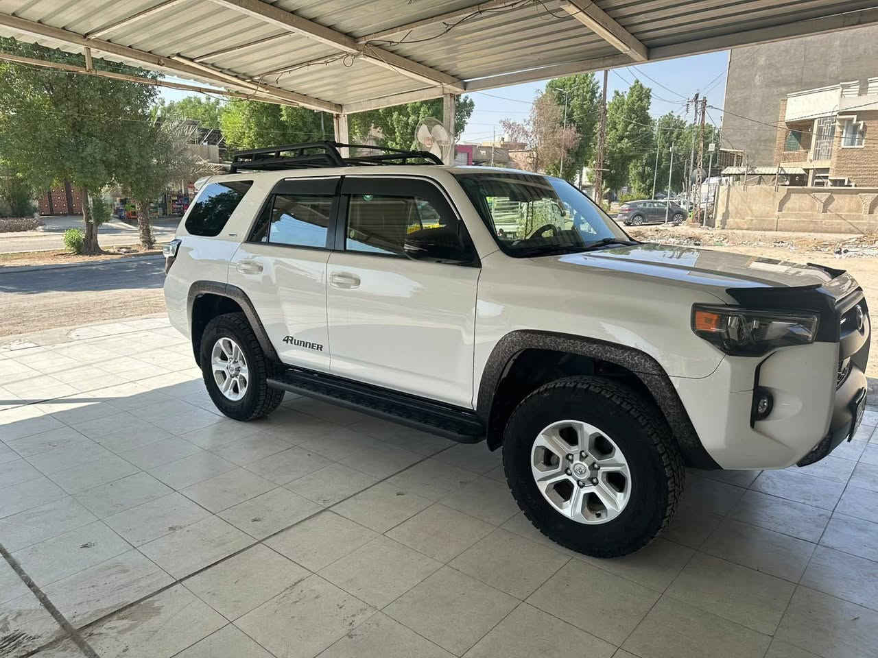 فوررنر • ٢٠٢٣ • كفالة عام