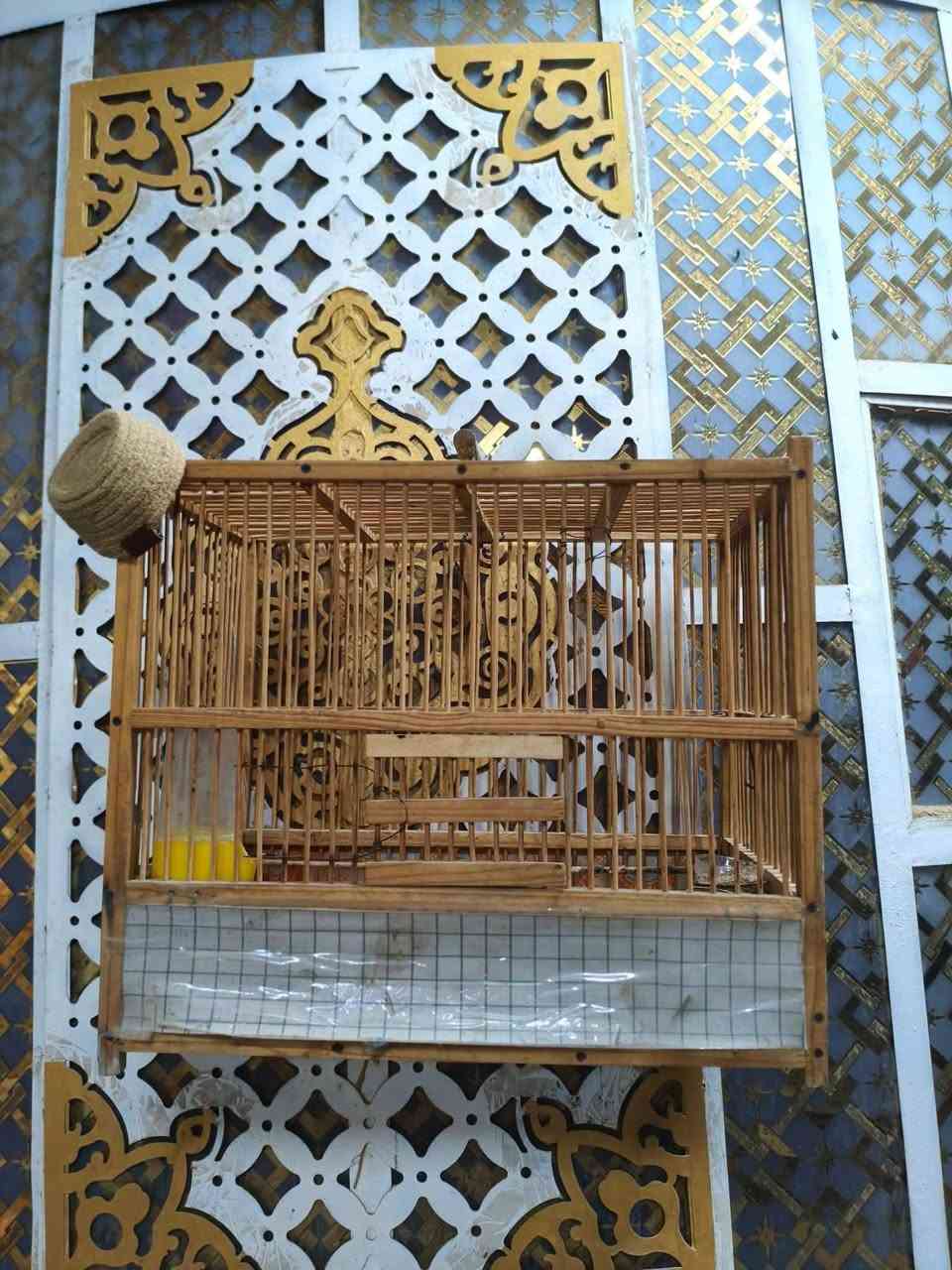 اقفاص للبيع
الكبير سعره 55 (ارتفاعه 124سنتيمتر + واجهة 105سنتيمتر) 
الصغير سعره 20 
وبيهن مجال للشراي 
للتواصل ***********  واتساب او اتصال
