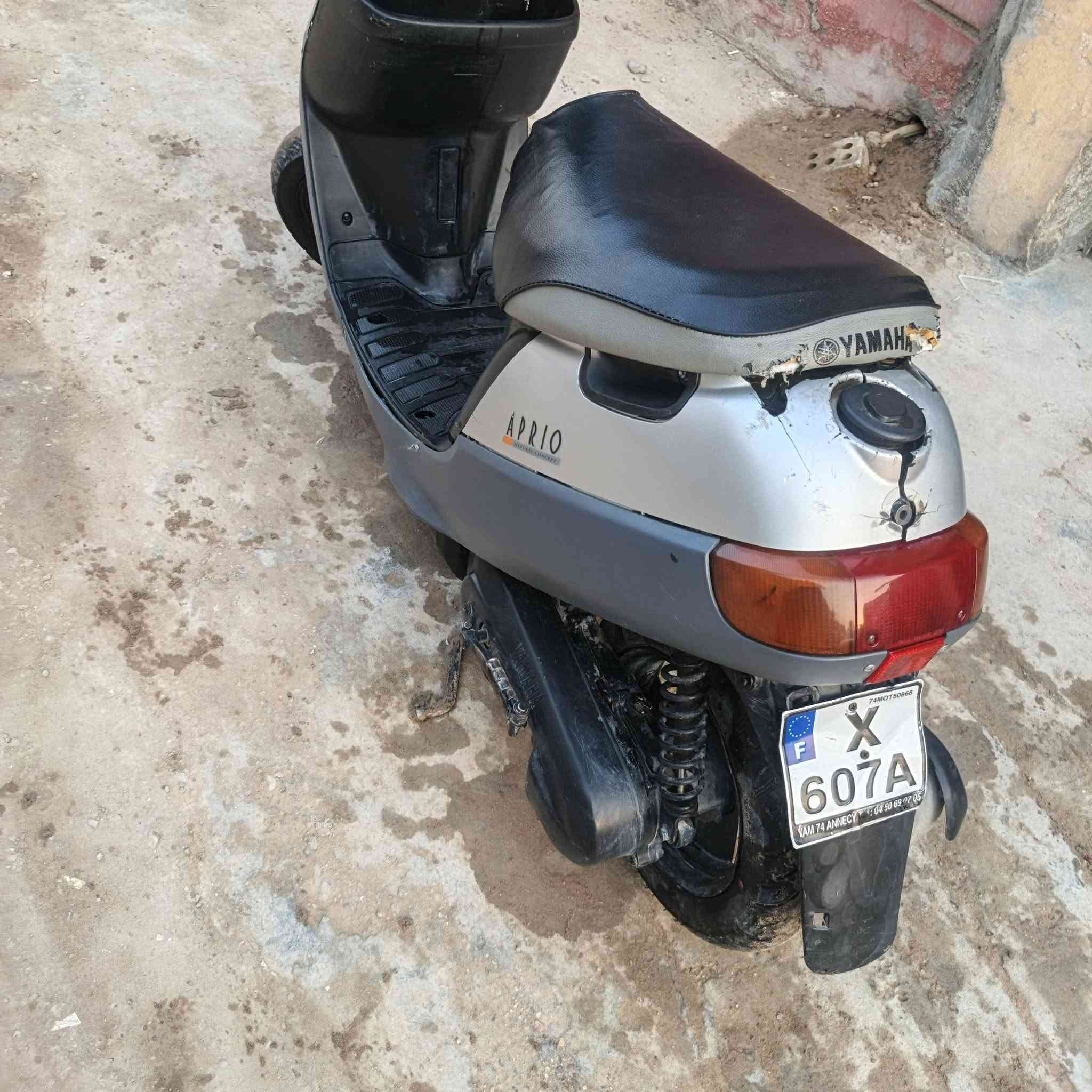 بطة منغولي • خطين • كهربائية
