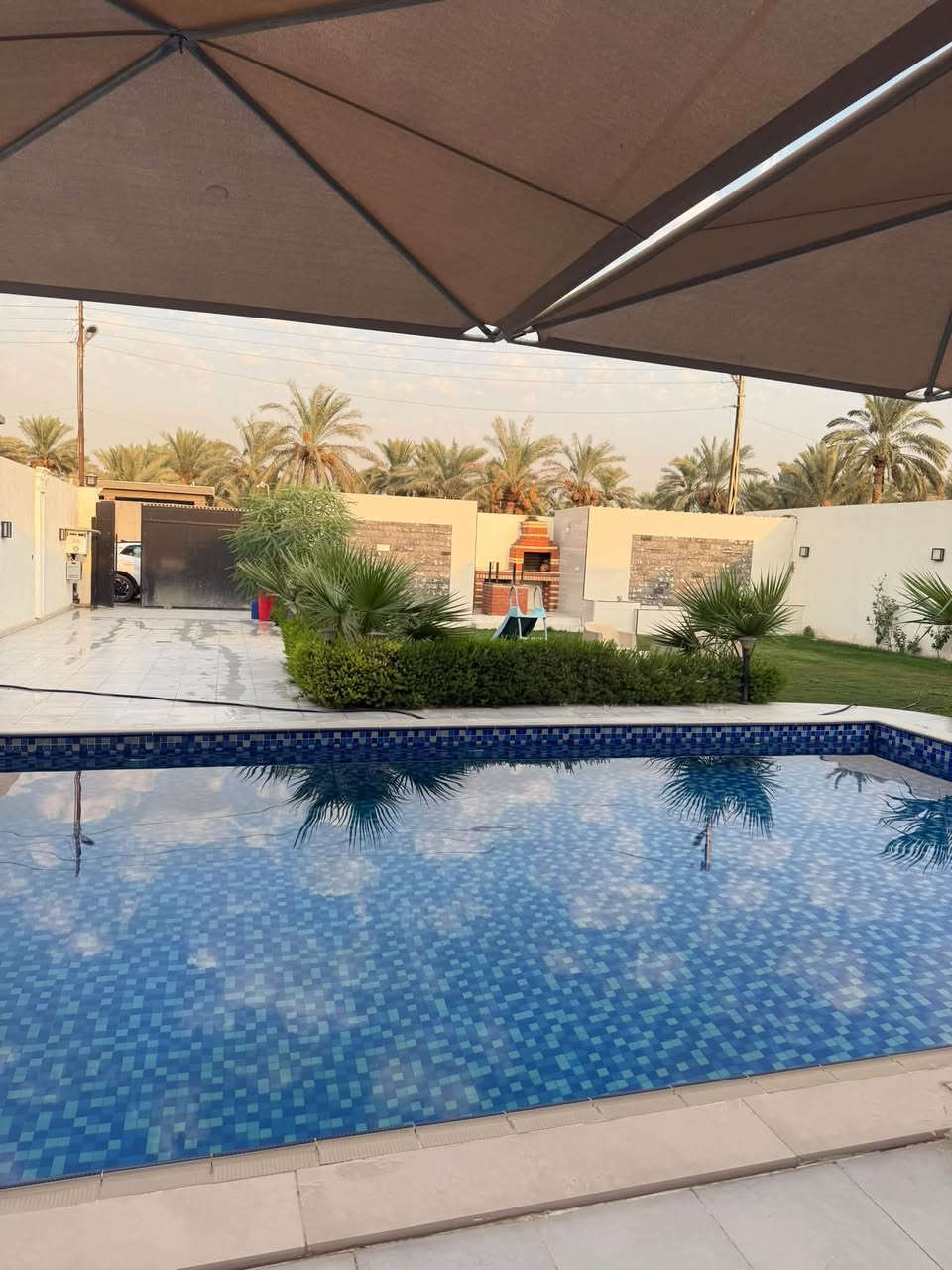 متوفر اليوم مسائي بعيثه  ***********
