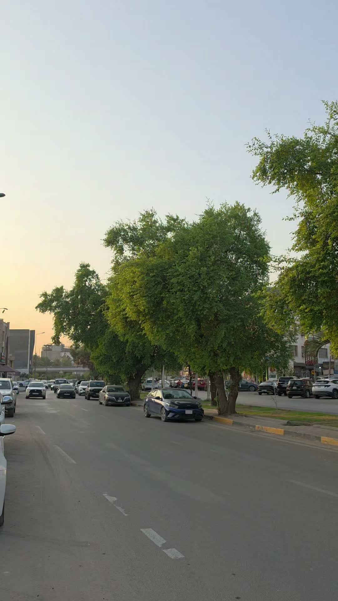 القادسية بغداد • محلة ٦٠٦ • ١٤٠م
