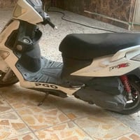بياجو كوري • مكفوله • راديتر