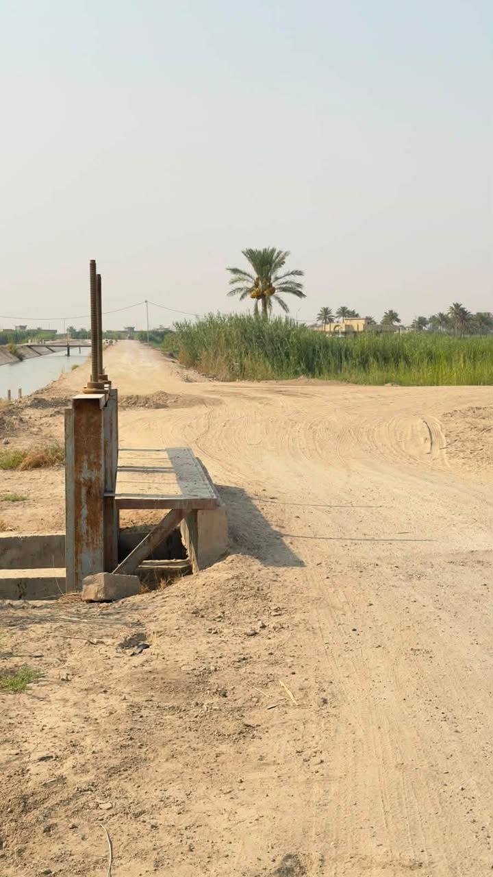 السجر الدوايه • دونم ونص • طابو زراعي