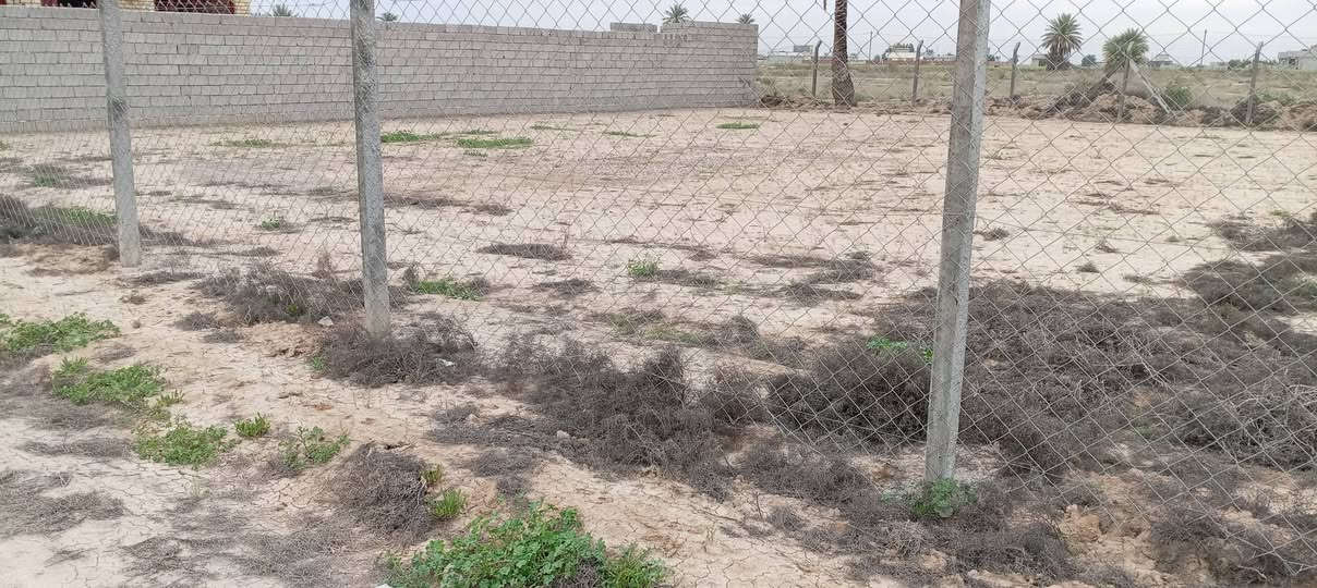 سلام عليكم قطعة ارض للبيع مساحه 500 متر زراعي سند 117مكان واسط العزيزية مقابل معمل السوس مجاور الشقق السكنيه للستفسار الانتصال على رقم الهاتف ***********
