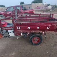 ستوته • فحل • موديل ١٩