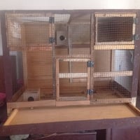 قفص • عرض متر • ارتفاع ٨٠