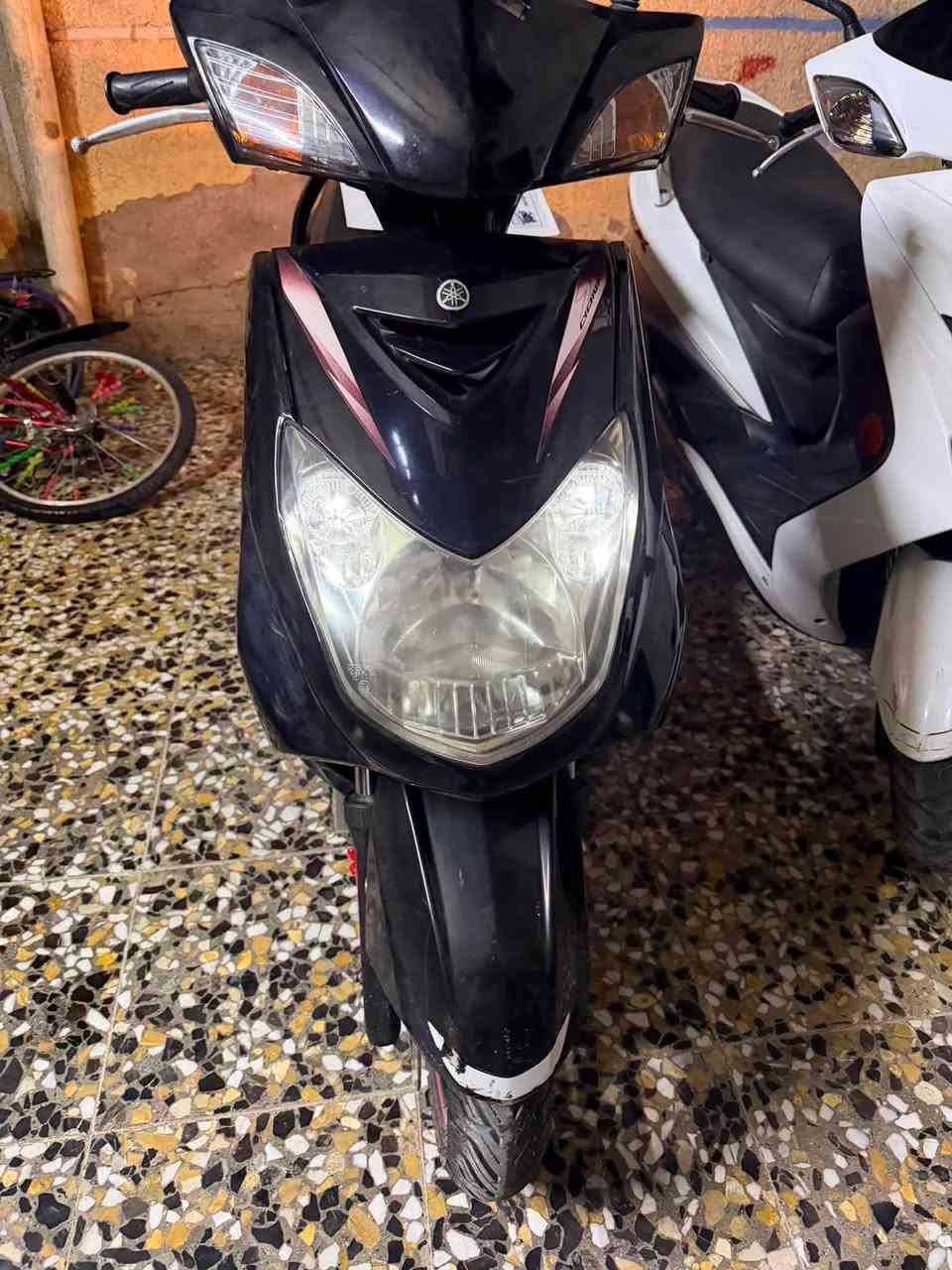 سكنس فحل • ياباني • بدون مرور