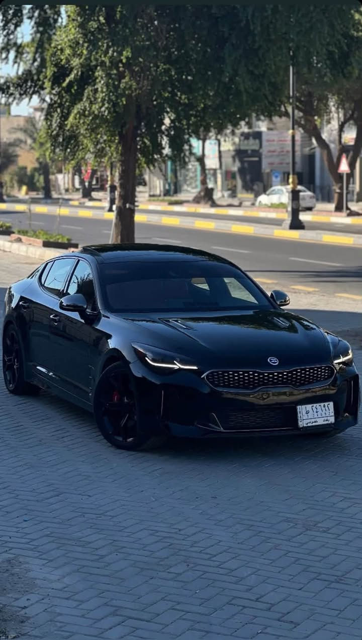🔥 للبيع Kia Stinger GT1 2018 🔥

🚘 Kia Stinger GT1 – RWD
📅 موديل 2018
⚙️ Engine: V6 3.3 Twin Turbo
💨 365 HP
🛞 94,000 ميل

⭐ المواصفات:

• فتحة بانوراما 🌤️
• Apple CarPlay + Android Auto
• 5 وضعيات قيادة Drive Modes
• قطعتين تبريد أمامي وخلفي
• Auto Hold + Auto Stop
• حساسات أمامية + خلفية
• كشنات كهرباء + نظام ترحيب
• مرايات كهرباء شفط
•السيارة عليهة برمجة كاملة ستيج ون + بوب كورن حالياً مشيول الفايل يرجع ب ٥٠ الف 

🛠️ حالة السيارة:

• السيارة كاملة ومكملة من كلشي
• عليها صيانة كاملة
• الحادث: بابين مصبوغات، والرجعة على الدوسة من الداخل قريبة من الدوسة بمسافة تقريباً إصبعين أو أقل.
• طخة بسيطة بالجاملغ الأمامي.

السعر 167 للأستفسار (***********)

📍 الموقع: بابل – الحلة

🔥 للجادين فقط — السيارة نظيفة ومواصفاتها مميزة.
وايدي بيهة دائماً بالدهن بالبانزين بالادامة ترايك وين متريد 
دوستك من الصفر لل ٢٠٠ صاروخ 🚀
تخم تاير جواها جديد صار اسبوعين من شادة 
حدادية كفالة 
الكير يتبدل دهن بالموعد المضبوط 
( كفالة كير  ومكينة )

نص مكتوب في الصور:
- columbauto.com.ua
- columbauto.com.ua РУССКИЙ العربية
- 14 4G columbauto.com.ua PУССКИЙ العربية
- ١٤ 4G ٠١.. ٣:٢٨ columbauto.com.ua РУССКИЙ العربية G 9
- columbauto.com.ua PУССКИЙ العربية